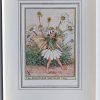 Scentless Mayweed Vintage Flower Fairy Print