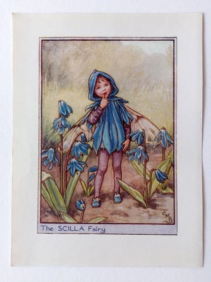 Scilla Flower Fairy Print