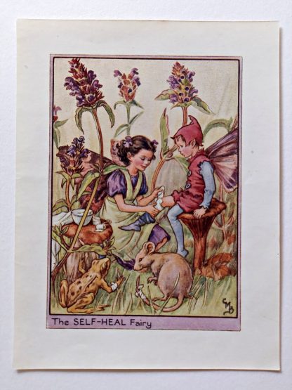 Self Heal Fairies Print