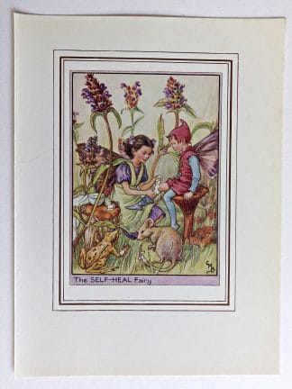 Self Heal Fairy Print