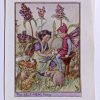 Self Heal Flower Fairy Print