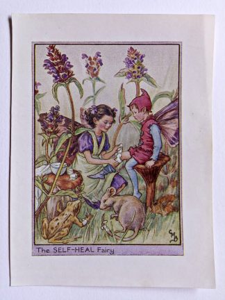 Self Heal Flower Fairy Print