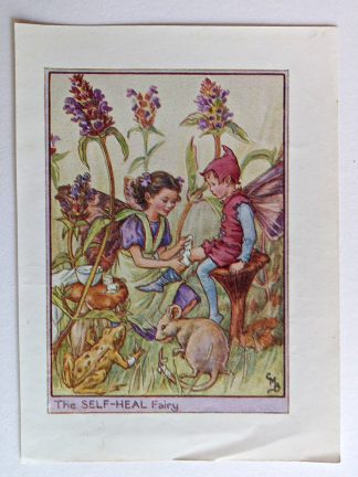 Self Heal Vintage Fairy Print