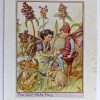 Self Heal Vintage Flower Fairy Print