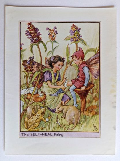 Self Heal Vintage Flower Fairy Print