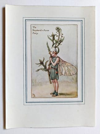 Shepherds Purse Fairy Print