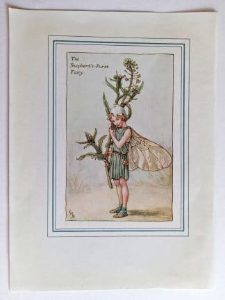 Shepherds Purse Vintage Fairy Print