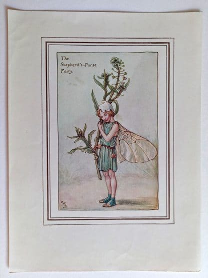 Shepherds Purse Vintage Flower Fairy Print