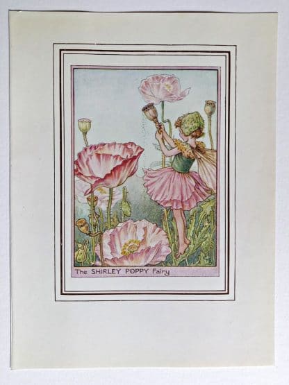Shirley Poppy Fairy Print
