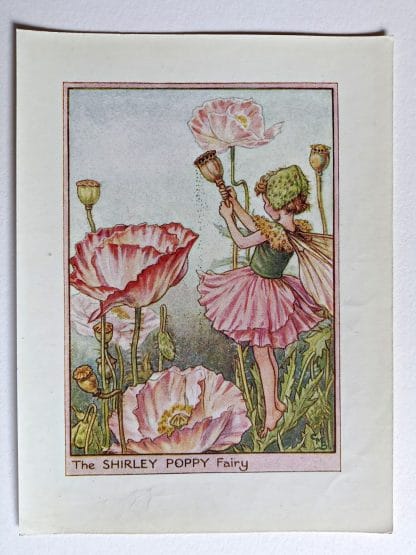 Shirley Poppy Vintage Fairy Print