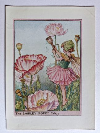 Shirley Poppy Vintage Flower Fairy Print