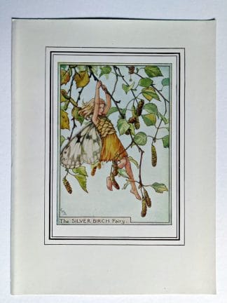 Silver Birch Fairy Print
