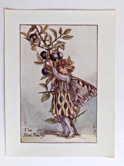 Sloe Fairies Print