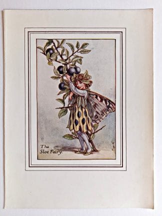 Sloe Fairy Print