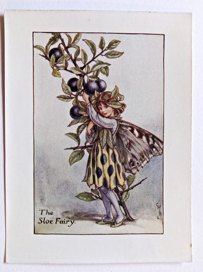 Sloe Flower Fairy Print