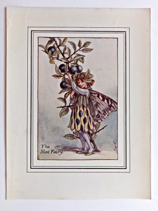 Sloe Vintage Flower Fairy Print