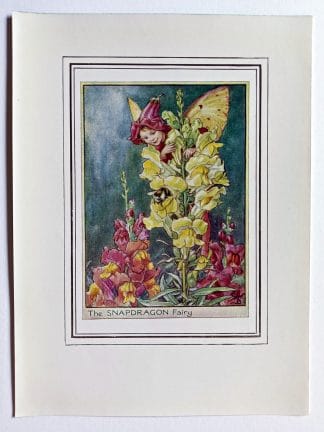 Snapdragon Fairy Print