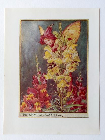 Snapdragon Flower Fairy Print