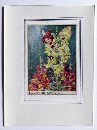 Snapdragon Vintage Fairy Print