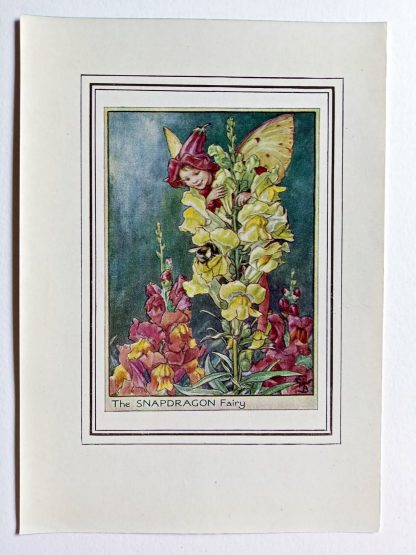 Snapdragon Vintage Flower Fairy Print