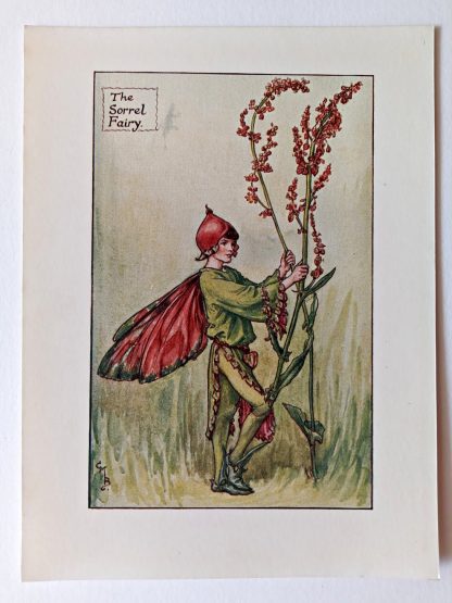 Sorrel Flower Fairy Print