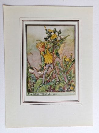 Sow Thistle Fairies Print