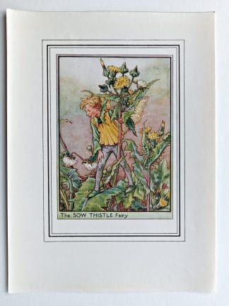 Sow Thistle Fairy Print