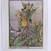 Sow Thistle Flower Fairy Print