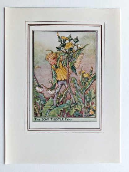 Sow Thistle Vintage Fairy Print