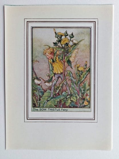 Sow Thistle Vintage Flower Fairy Print