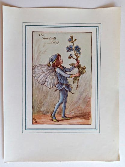 Speedwell Fairies Print