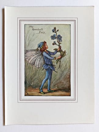 Speedwell Fairy Print