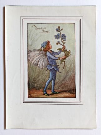 Speedwell Vintage Fairy Print