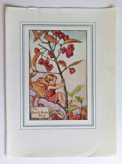 Spindle Berry Fairies Print