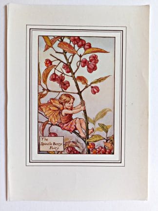 Spindle Berry Fairy Print