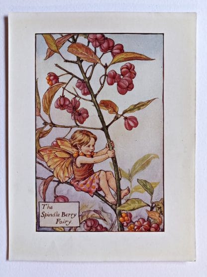 Spindle Berry Flower Fairy Print
