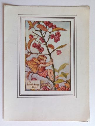 Spindle Berry Vintage Fairy Print