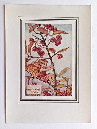 Spindle Berry Vintage Flower Fairy Print