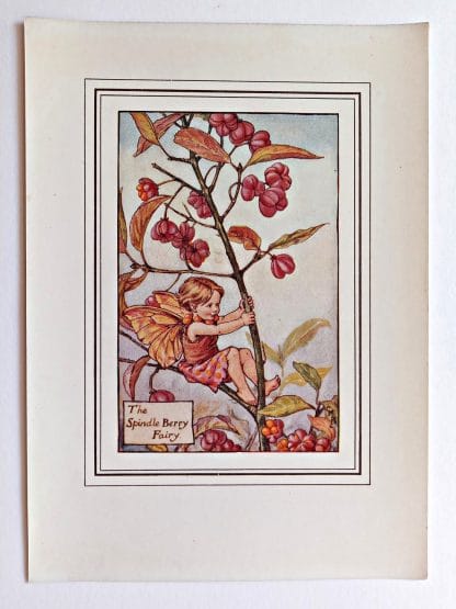 Spindle Berry Vintage Flower Fairy Print