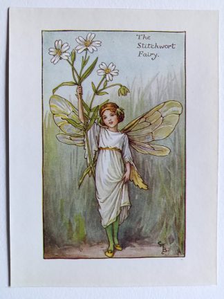 Stitchwort Flower Fairy Print