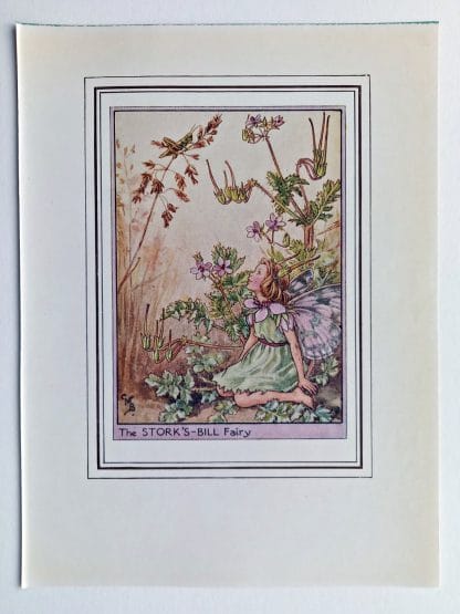 Storks Bill Fairy Print