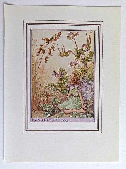 Storks Bill Vintage Flower Fairy Print