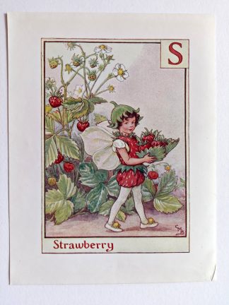 Strawberry Fairy Print