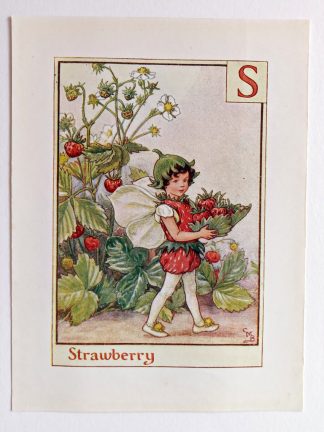 Strawberry Vintage Fairy Print