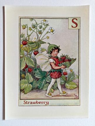 Strawberry Vintage Flower Fairy Print
