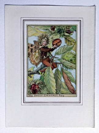 Sweet Chestnut Fairy Print