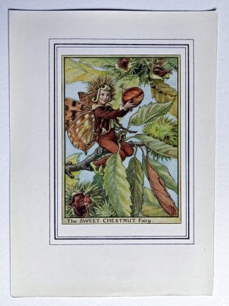 Sweet Chestnut Vintage Fairy Print