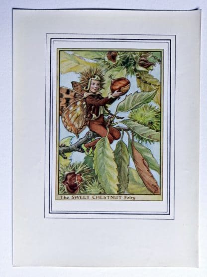 Sweet Chestnut Vintage Flower Fairy Print