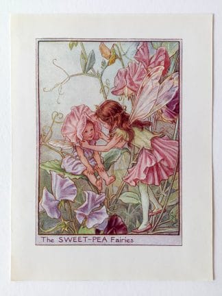 Sweet Pea Flower Fairy Print