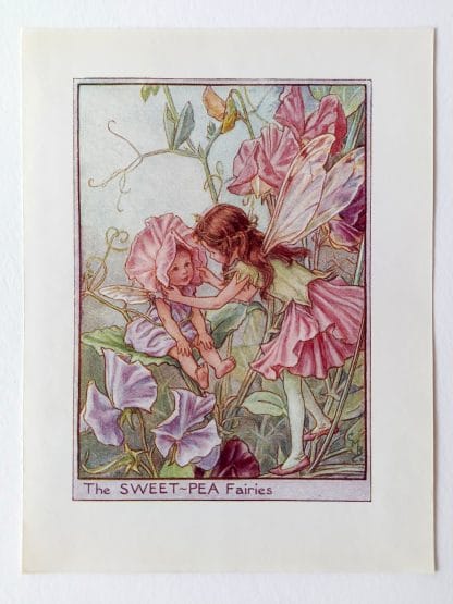 Sweet Pea Flower Fairy Print